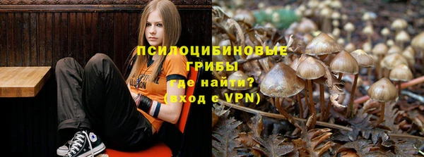 прущая мука Алексин