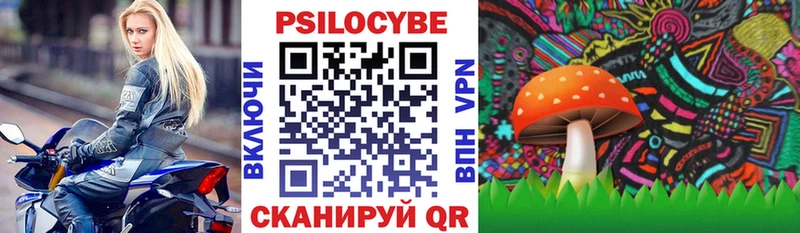 Псилоцибиновые грибы MAGIC MUSHROOMS как найти Жуковка