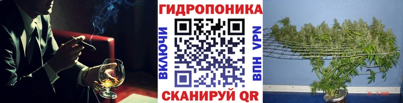 Конопля план  blacksprut маркетплейс  Жуковка 